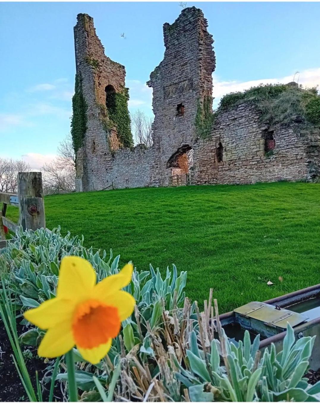 Castle Court Apartment